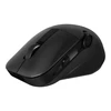 Asus | Belaidė pelė | MD300 | Wireless | Bluetooth | Juodas