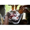 Anglinė lauko kepsninė Barbecook Carlo Urban | BC-CHA-1015 | Pilka