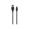 Gembird Cablexpert CCP-USB2-AMCM-1M USB 2.0 AM į C tipo keitiklis (AM/CM), 1 m | Cablexpert