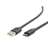 Gembird Cablexpert CCP-USB2-AMCM-1M USB 2.0 AM į C tipo keitiklis (AM/CM), 1 m | Cablexpert