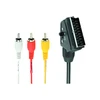 Gembird Cableexpert | SCART/3 x RCA | SCART (21 kontakto) | 3 x RCA