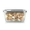 Caso Glass Vacuum Container with Plastic Lid | VacuBoxx Inox XL | Transparent
