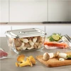 Caso stiklinis vakuuminis indas su plastikiniu dangteliu | VacuBoxx Inox XL | Skaidrus