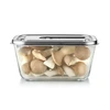 Skaidrus vakuuminis maisto saugojimo indas Caso VacuBoxx Inox 2.6 XL (1167)