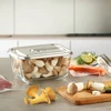 Skaidrus vakuuminis maisto saugojimo indas Caso VacuBoxx Inox 2.6 XL (1167)