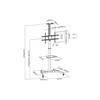 Assmann Electronic Mobilus stovas DIGITUS DA-90370 (37" - 70", maks. 50kg)