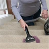 Bissell antgalis Brush Tool 6' SpotClean - 15 cm