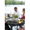 Elektrinis grilis Barbecook E-Carlo, 2500 W, Pilkas
