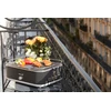 Elektrinis grilis Barbecook E-Carlo, 2500 W, Pilkas