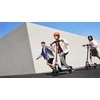 Elektrinis paspirtukas Segway eKickScooter Ninebot E3 E