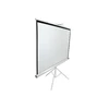 Elite Screens | su stovu Series | T113NWS1 | Įstrižainė 113" | 1:1 | Matomo vaizdo plotis (W) 203 cm | Baltas
