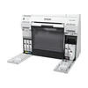 EPSON T43U Magenta SureLab D800