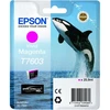 Epson T7603 | Rašalo kasetė | Magenta