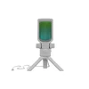 Genesis | Mikrofonas | Radium 250 | Triukšmo mažinimas