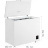 Šaldiklis Gorenje FH25EAW
