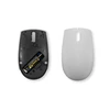 Lenovo | Kompaktiška Pelė su baterija | 300 | Belaidis | Arktinis Pilkas