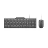 Klaviatūra Lenovo 310 USB-A su laidu Combo US English | Klaviatūros ir pelės rinkinys | su laidu | su pele | US English | Luna Pilkas