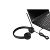Lenovo Essential Stereo Analog Ausinės