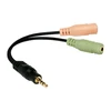 LogiLink Prisijungti | Garso lizdo adapteris, 4 kontaktų, 3,5 mm stereofoninis kištukas iki 2x 3,5 mm moteriškas | 0,15 m