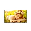 Monitorius LG 4K UHD Signage | 86UL5Q-E | 86 " | 500 cd/m² | Landscape/Portrait | 24/7 | webOS | 8 ms | 178 ° | 178 °