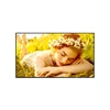Monitorius LG UHD Signage | 75UL5Q-M | 75 " | Landscape/Portrait | 24/7 | webOS | Wi-Fi | 8 ms | 178 ° | 178 ° | 500 cd/m²
