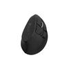 NATEC EUPHONIE PRO pelė Universal dešinei rankai Bluetooth Optinė 2400DPI