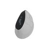 NATEC Belaidė pelė EUPHONIE PRO BT 5.0 2400DPI