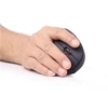 Ergonomiška belaidė pelė Gembird MUSW-ERGO-01