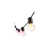 Philips Hue Hue Festavia Globe Outdoor String Lights, 14m Extension | 30 W