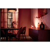 „Philips Hue“ | Nešiojama „Hue Iris“ lempa, vario spalvos, specialus leidimas | Varis/žalvaris | Nešiojama lempa