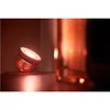 „Philips Hue“ | Nešiojama „Hue Iris“ lempa, vario spalvos, specialus leidimas | Varis/žalvaris | Nešiojama lempa