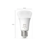 Philips Hue WCA 9W A60 E27