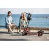 Segway Ninebot eKickscooter D18E, Juodas/Raudona