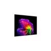 Televizorius LG OLED 4K AI G6 TV | OLED77G61LW | 77 | Smart TV | webOS | UHD | Juodas (200 EUR nuolaidos kodas)