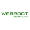 Webroot | DNS Protection with GSM Console | 1 year(s) | License quantity 1-9 user(s)