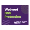 Webroot | DNS Protection with GSM Console | 2 year(s) | License quantity 10-99 user(s)