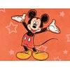 Disney meno akademija – Nintendo 3DS