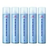 Plaukų lakas Wella Professionals Performance (1) 500ml