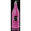 Plaukų spalvą tausojantis šampūnas Stapiz Acid Balance Acidifying 1000ml
