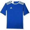 Marškinėliai vyrams Adidas Entrada 18 CF1037, mėlyni