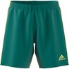 adidas M Tastigo 19 Šortai DP3251