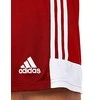 Šortai vyrams Adidas Tastigo 19 M DP3681, raudoni