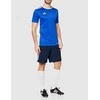 Marškinėliai vyrams Adidas Entrada 18 CF1037, mėlyni