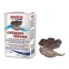 Amtra Pro Nature Catappa lapai 30vnt