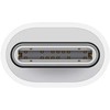 Apple USB-C to Lightning Adapter - MUQX3ZM/A