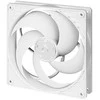 ARCTIC P14 PWM korpuso ventiliatorius, 4-pin, 140mm, baltas