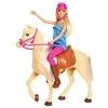 Mattel BARBIE lėlė ir jos žirgas, FXH13