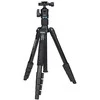 Benro IT25 su IH1 galva