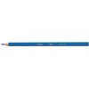 Bic Spalvoti pieštukai Kids Evolution 12 spalvų rinkinys 8290291
