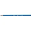 Bic Spalvoti pieštukai Kids Evolution 12 spalvų rinkinys 8290291